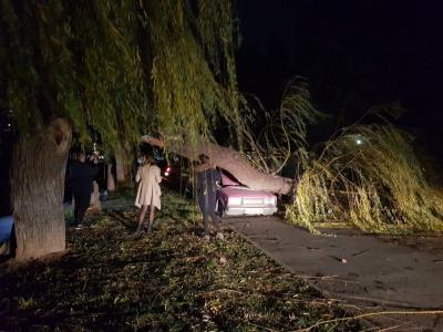 Прикрепленное изображение: 001.jpg